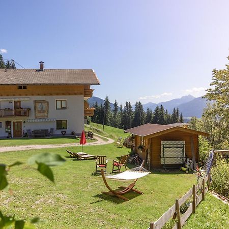 Ferienwohnung Bio-Bergbauernhof Weger Dellach  Exterior foto