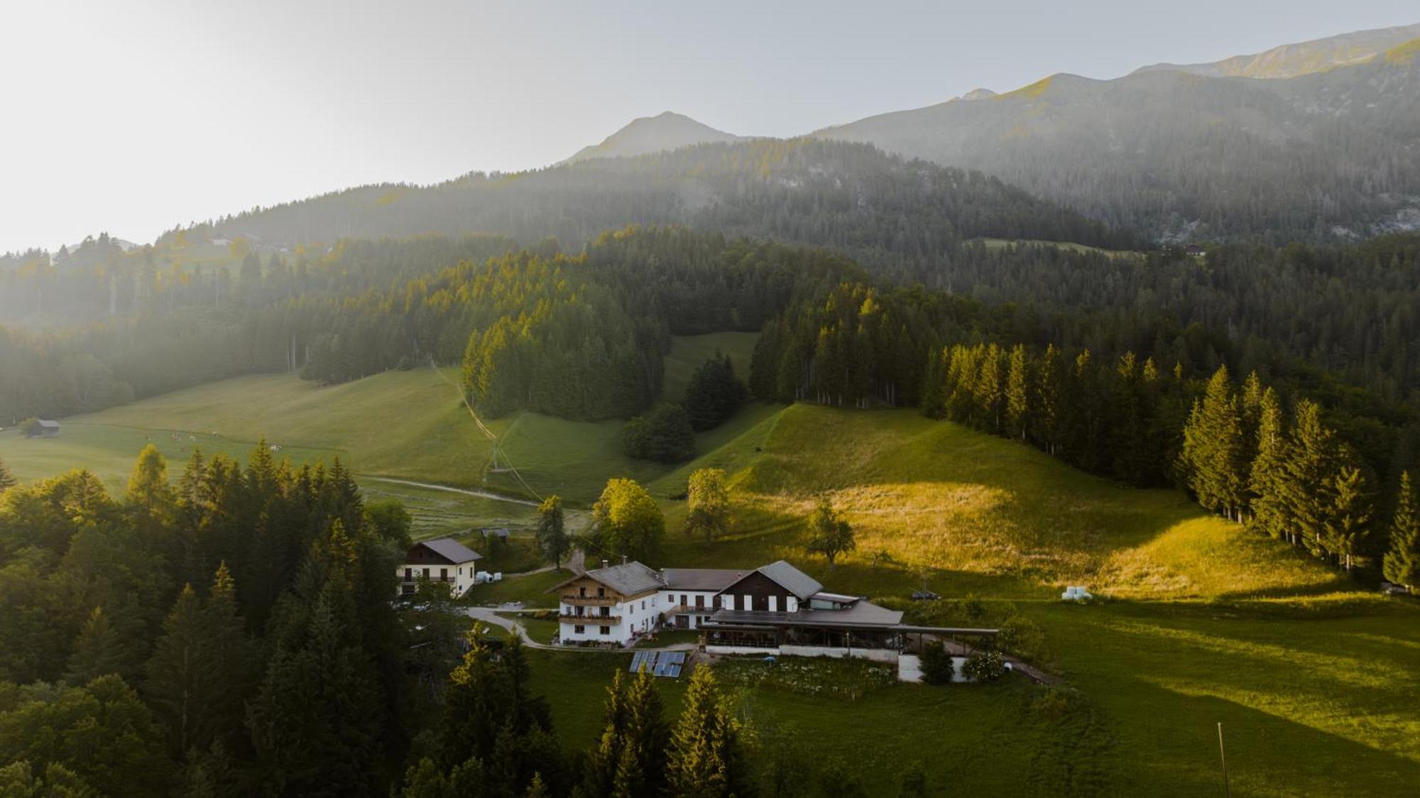 Ferienwohnung Bio-Bergbauernhof Weger Dellach  Exterior foto