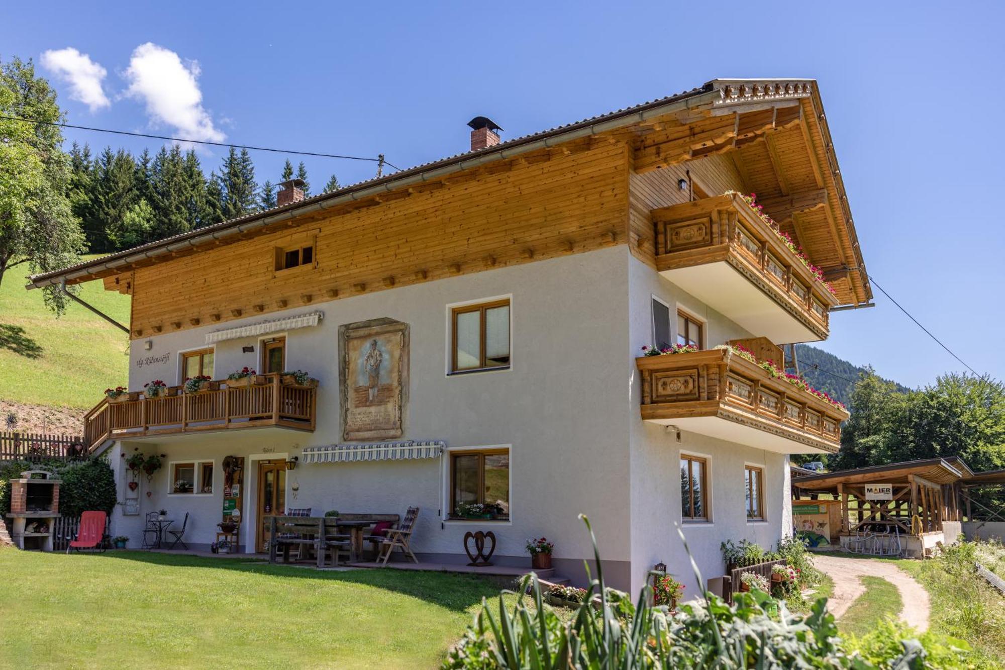 Ferienwohnung Bio-Bergbauernhof Weger Dellach  Exterior foto