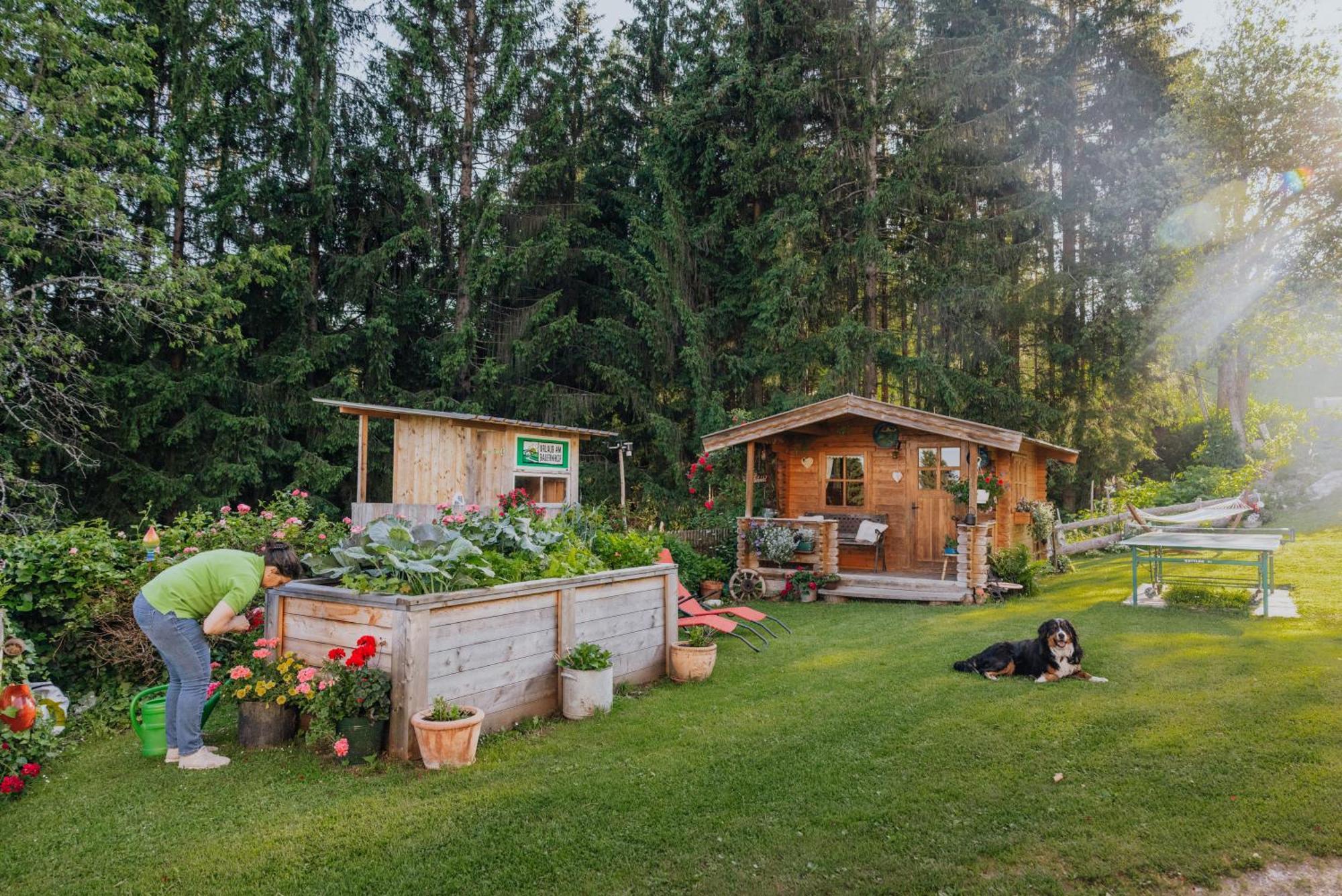 Ferienwohnung Bio-Bergbauernhof Weger Dellach  Exterior foto