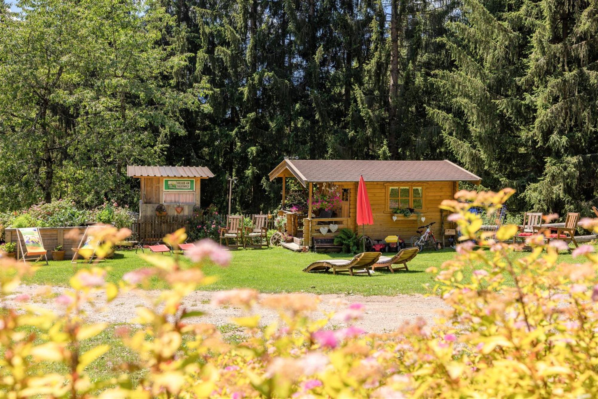 Ferienwohnung Bio-Bergbauernhof Weger Dellach  Exterior foto